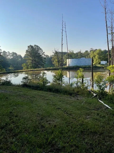 Lush green lakeside property on a summer evening