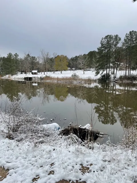 Snow-covered pond and pine trees in winter